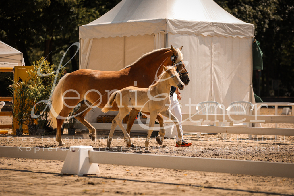 06.DoH00143 | Leoni Ertmer Photography - Realisiert mit Pictrs.com