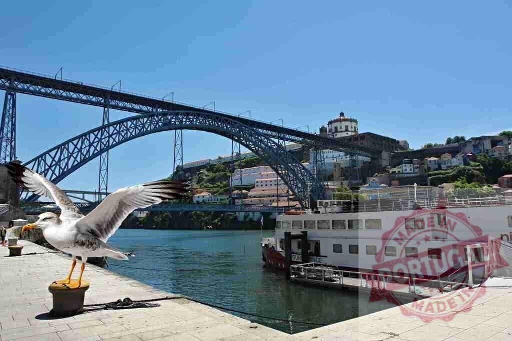 Seagull standing on pier with Luís I Bridge, Porto | Seagull standing with wings spread near Douro River and the Dom Luís I Bridge, Porto city - Realized with Pictrs.com
