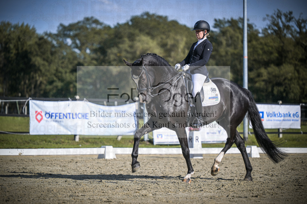 DOS_2870 | Entdecke hochwertige Reitturnierfotos von Foto Oger. Professionell, emotional und authentisch – jetzt Lieblingsmomente im Shop bestellen.Deutschlandweite Turnierfotografie. - Realisiert mit Pictrs.com