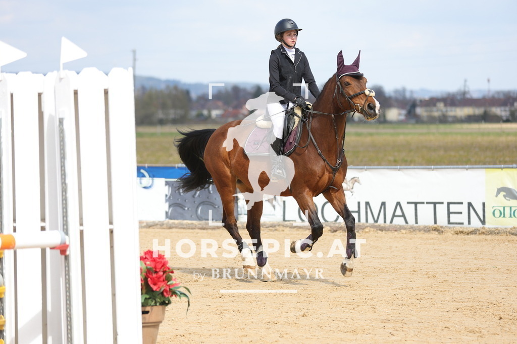 0P6A7420 | Willkommen bei Brunnmayr - Design & Fotografie – Ihrem Spezialisten für Reitturniere und Pferdeveranstaltungen in Oberösterreich, Salzburg und Bayern! Seit über 17 Jahren sind wir leidenschaftlich dabei.