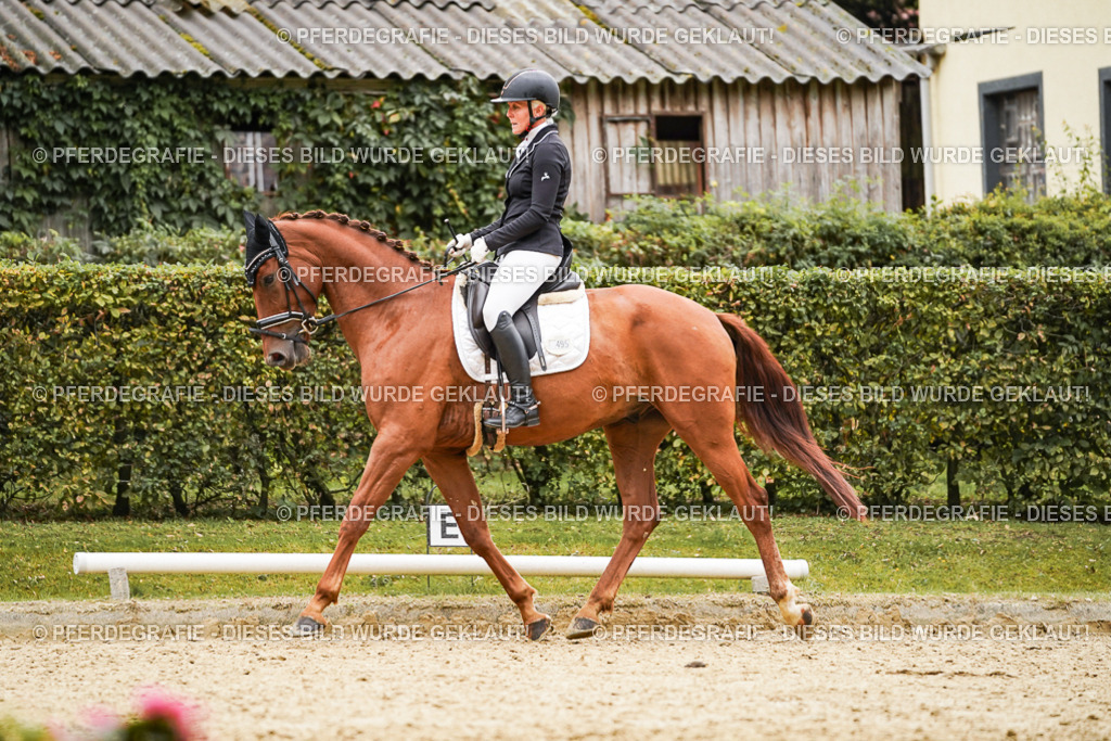 DSC08321 | Pferdegrafie