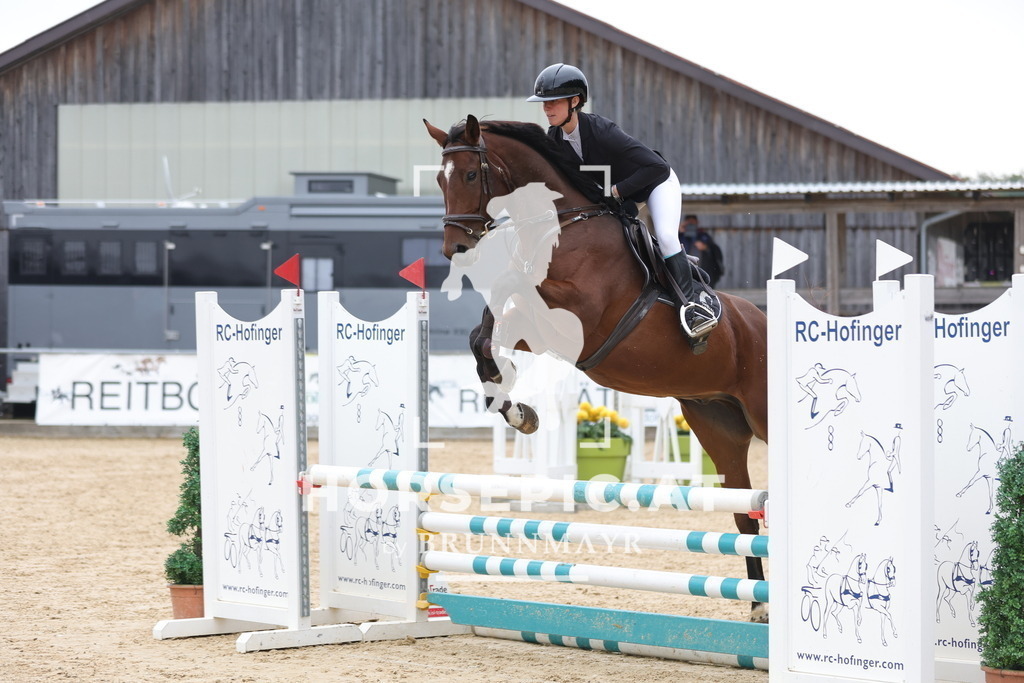 0P6A5537 | Willkommen bei Brunnmayr - Design & Fotografie – Ihrem Spezialisten für Reitturniere und Pferdeveranstaltungen in Oberösterreich, Salzburg und Bayern! Seit über 17 Jahren sind wir leidenschaftlich dabei.