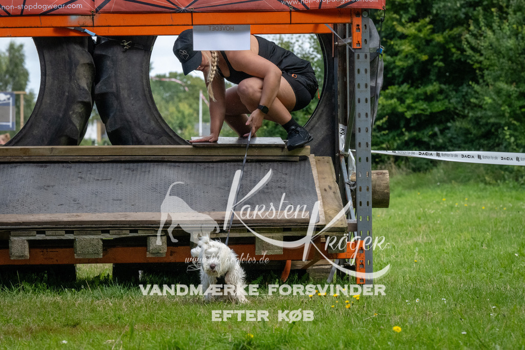 1135_ZZ92643 | kk-dogfotos