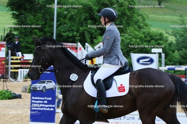 OHT2311 | Fotografie, Tiere, Hunde, Katzen, Pferde, Sportfotografie, Fotosession, Tierfotografie, Turnierfotografie, Fotografin, Fotograf - Realisiert mit Pictrs.com