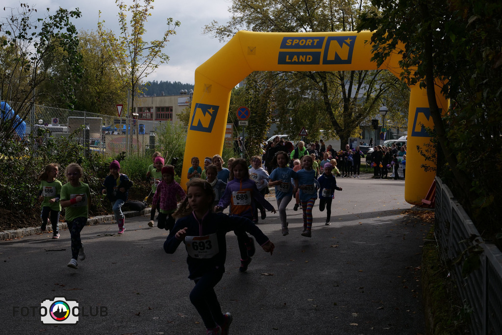 P1017415 | Foto Buchgraber