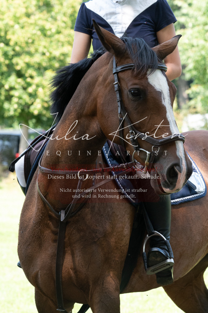DSC_0674 | Pferde- und Turnierfotografie in Westsachsen. Pferdeportraits, Auftragszeichnungen und intuitive Kunst.
