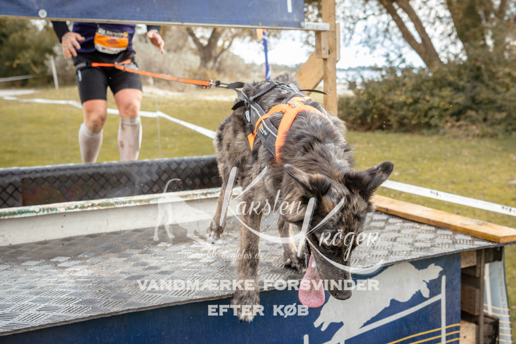 1343_ZZ91918-2 | kk-dogfotos