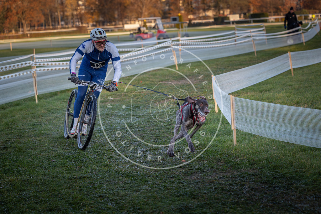 CaniXpix_0L8A1461 | Hundefotografie, Tierfotograf, Pfotenfotografie, Fotoshooting Hund, Hunde Portrait, Hundesport, Hundeportraits, Heideshooting, Hunde, Sportfotograf, Hundefotograf, Turnierhundsport, THS,  - Realisiert mit Pictrs.com