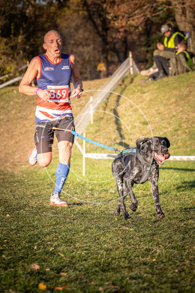 CaniXpix_0L8A1051 | Hundefotografie, Tierfotograf, Pfotenfotografie, Fotoshooting Hund, Hunde Portrait, Hundesport, Hundeportraits, Heideshooting, Hunde, Sportfotograf, Hundefotograf, Turnierhundsport, THS,  - Realisiert mit Pictrs.com