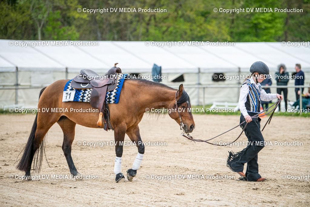 Heiligenwald Tag 2-2588 | dv-media-shop - Realisiert mit Pictrs.com