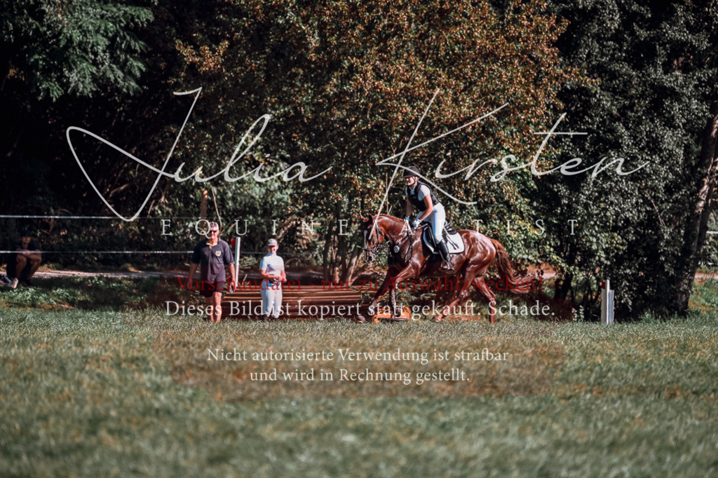 DSC_0765 | Pferde- und Turnierfotografie in Westsachsen. Pferdeportraits, Auftragszeichnungen und intuitive Kunst.