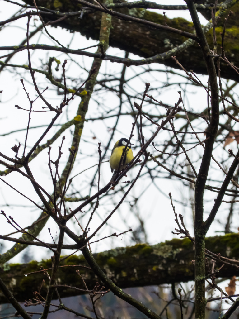 PSX_20230320_223343 | mtkfoto_ - Realisiert mit Pictrs.com