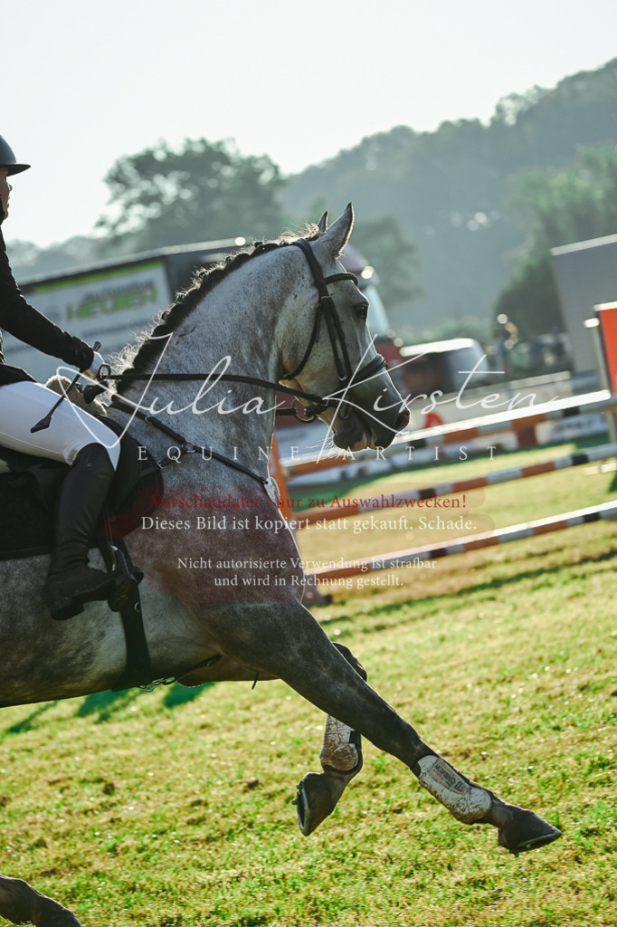 DSC_4155 | Pferde- und Turnierfotografie in Westsachsen. Pferdeportraits, Auftragszeichnungen und intuitive Kunst.