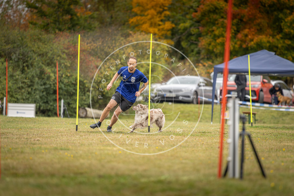 Pfotenfotografie_DV3A5434 | Hundefotografie, Tierfotograf, Pfotenfotografie, Fotoshooting Hund, Hunde Portrait, Hundesport, Hundeportraits, Heideshooting, Hunde, Sportfotograf, Hundefotograf, Turnierhundsport, THS,  - Realisiert mit Pictrs.com