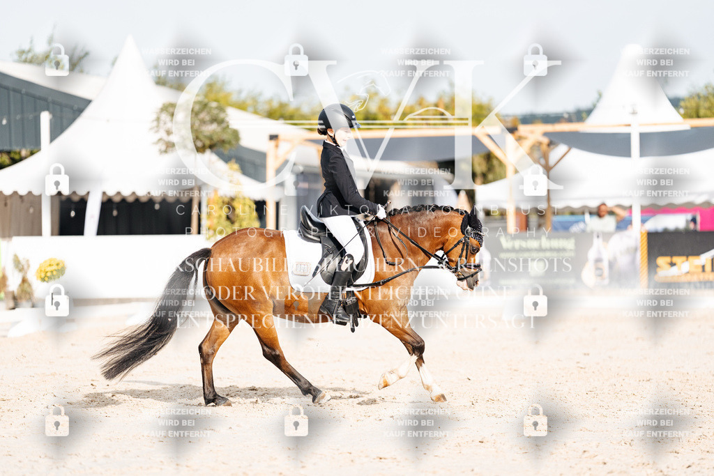CK904234 | Turnierfotografie Pferdefotografie Trier Rheinland-Pfalz Pferdesport Reitsport Tierfotografie Sportfotografie Pferdevideo Pferdevideografie Equestrianvideography equestrianphotography  - Realisiert mit Pictrs.com