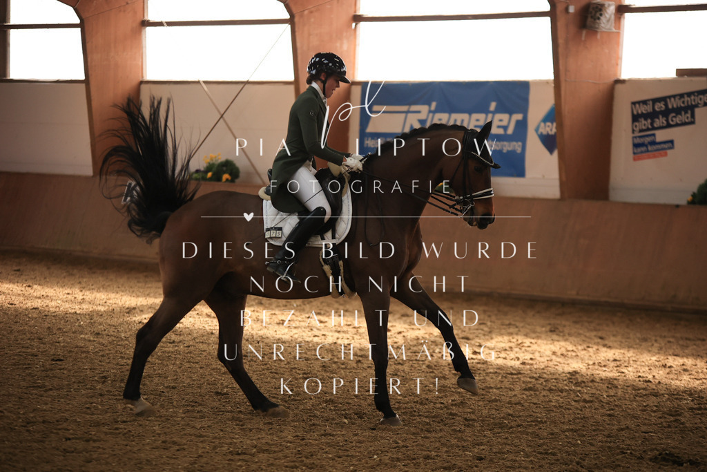 IMGT5222 | pl-fotografie