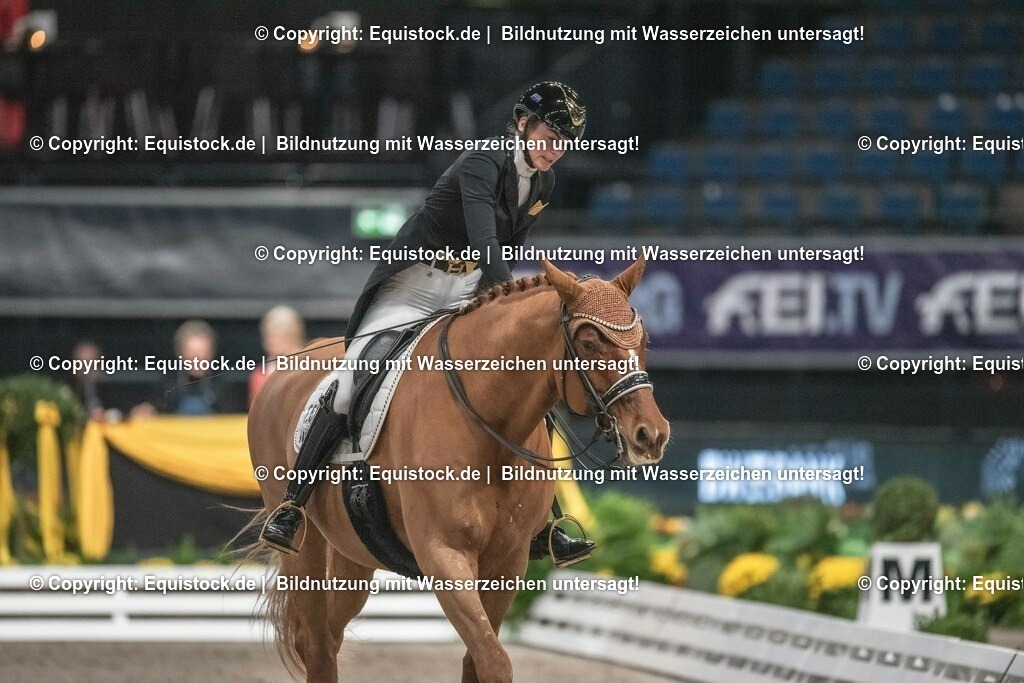 20231115_20_Dressur_Kl-S++_0239_TOMsPiC | Foto: Thomas Hartig