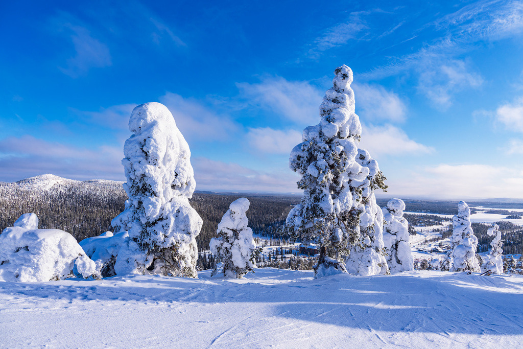 Landschaft mit Schnee im Winter in Ruka, Finnland | Landschaft mit Schnee im Winter in Ruka, Finnland.