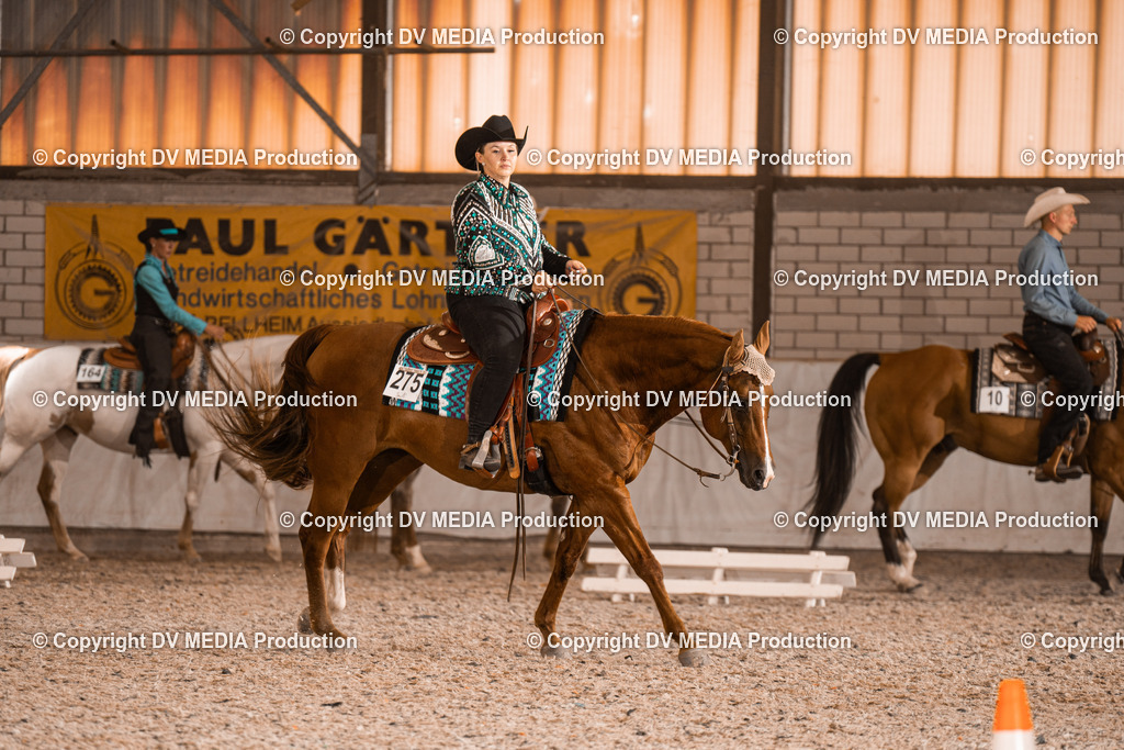 ZH100870 | dv-media-shop - Realisiert mit Pictrs.com