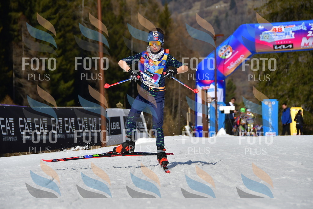 _DSC9733 | holidayphoto