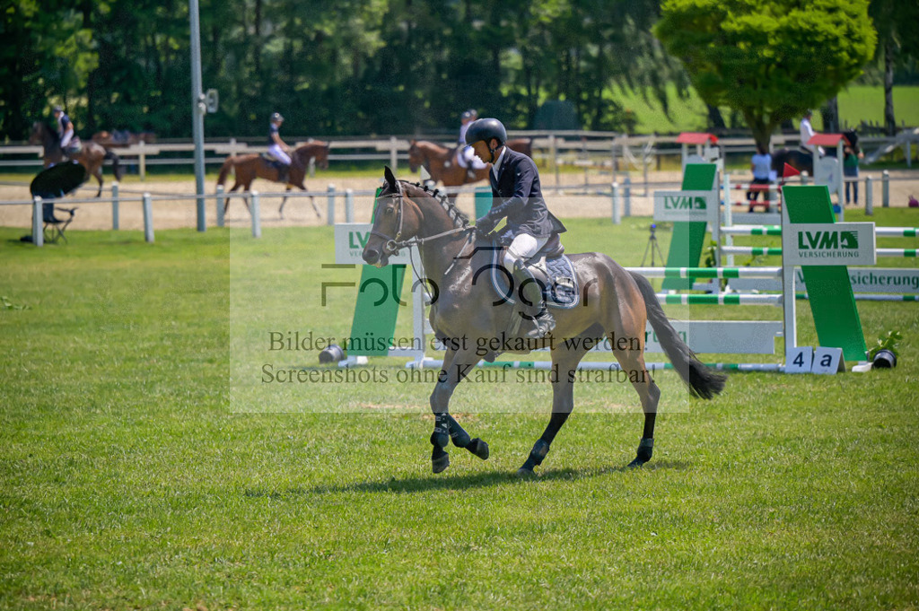 Reitturnier Voxtrup | Entdecke hochwertige Reitturnierfotos von Foto Oger. Professionell, emotional und authentisch – jetzt Lieblingsmomente im Shop bestellen.Deutschlandweite Turnierfotografie. - Realisiert mit Pictrs.com