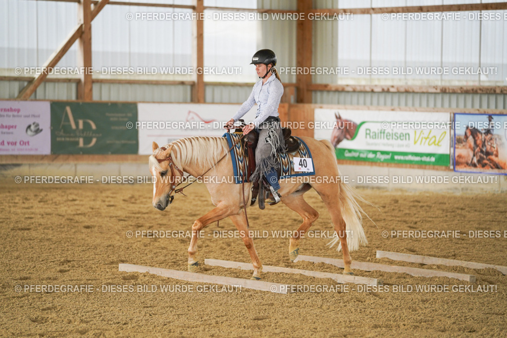 DSC03539 | Pferdegrafie