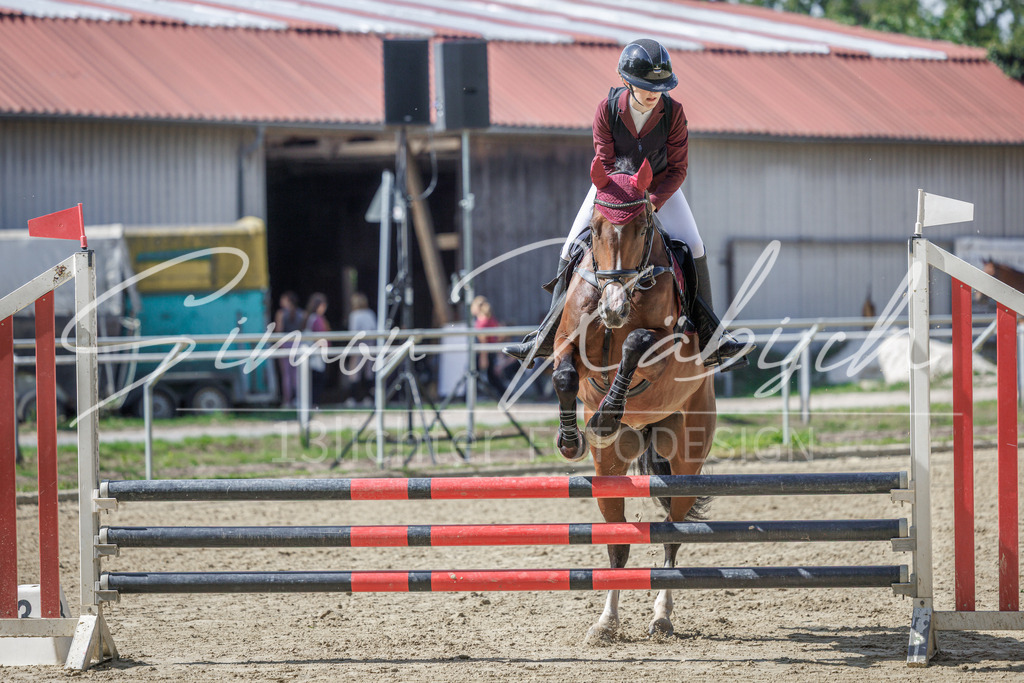 20260905-_3LI8734 | Tierfotografie Pferde, Hunde, Katzen, Haustiere.
Turnierfotografie Reitturniere, Reiten, Springreiten, Dressur in Hanau, dem Main-Kinzig-Kreis und dem Rhein-Main- Gebiet um Frankfurt