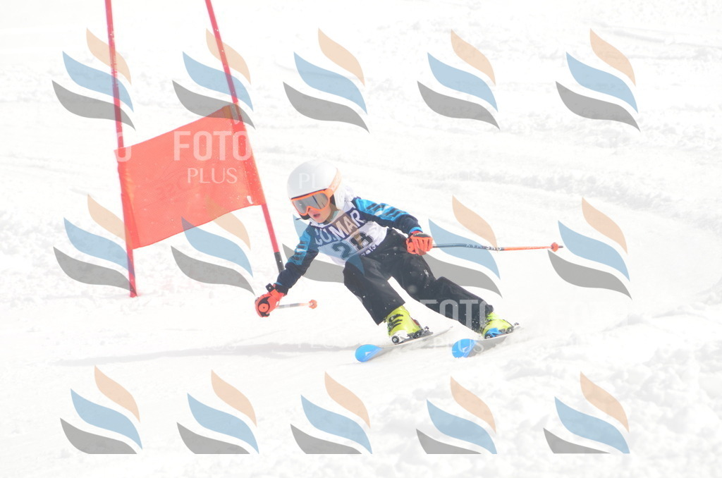 A5228 | holidayphoto