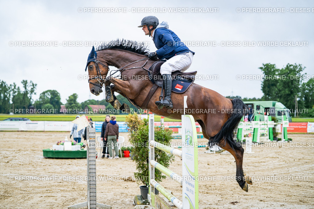 DSC03557 | Pferdegrafie