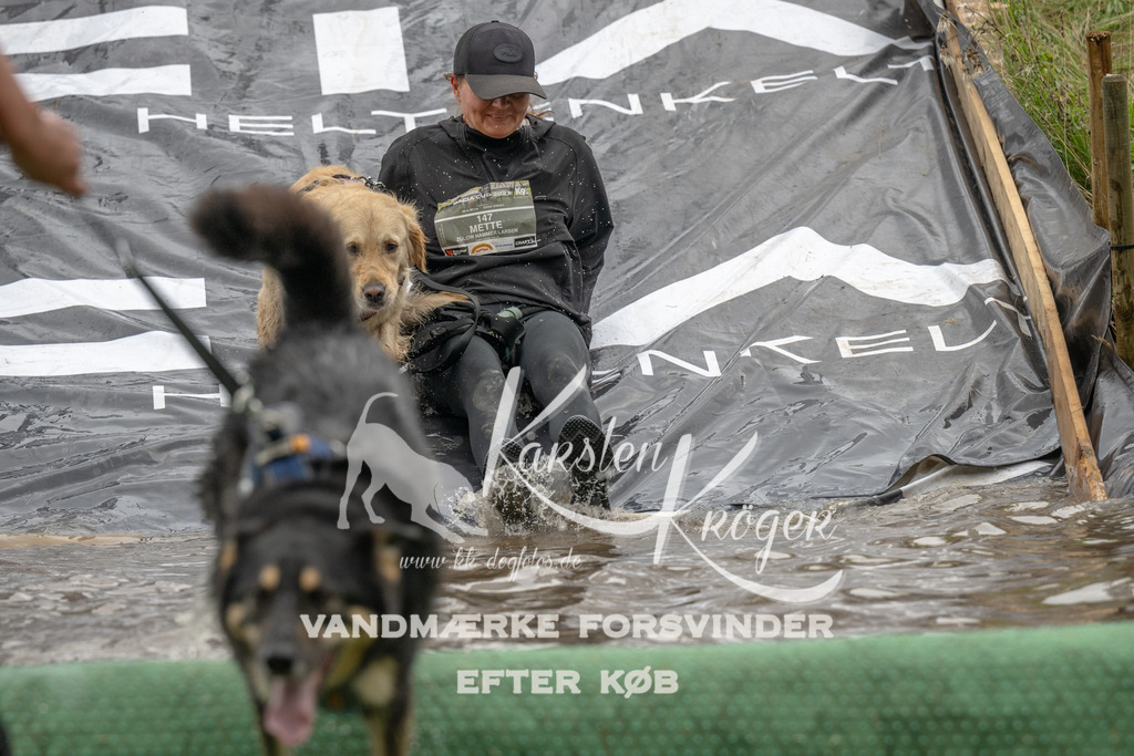 1550_ZZ91040 | kk-dogfotos