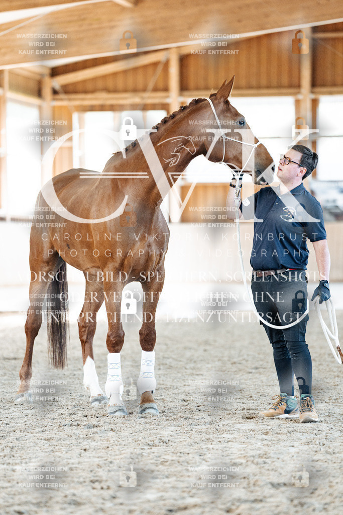 CK906677 | Turnierfotografie Pferdefotografie Trier Rheinland-Pfalz Pferdesport Reitsport Tierfotografie Sportfotografie Pferdevideo Pferdevideografie Equestrianvideography equestrianphotography  - Realisiert mit Pictrs.com