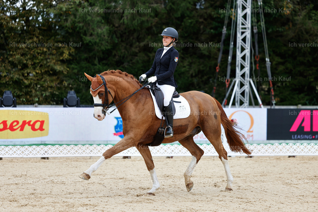 04_1-180-Dressur M__ -StoibPH-StoibPH-2635 | working equitationturnier fotograf videograf stoibphotography marixx film working equitation deutschland reitsport turnierfotografie eventfotografie equestrian events