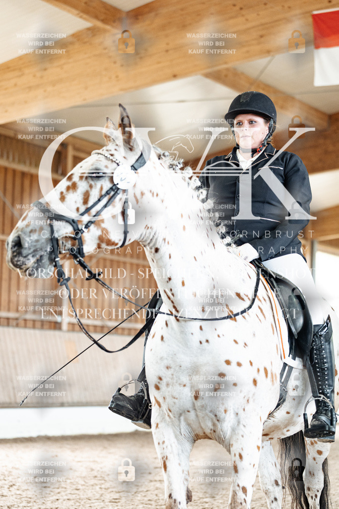 CK901235 | Turnierfotografie Pferdefotografie Trier Rheinland-Pfalz Pferdesport Reitsport Tierfotografie Sportfotografie Pferdevideo Pferdevideografie Equestrianvideography equestrianphotography  - Realisiert mit Pictrs.com
