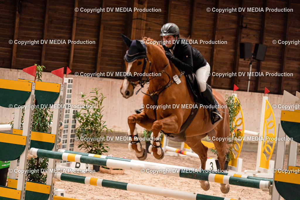 Springen Tag 2-504 | dv-media-shop - Realisiert mit Pictrs.com