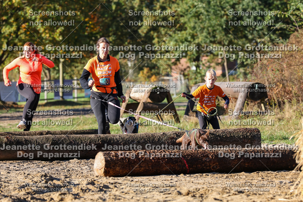 Dog Paparazzi - Strongdog 10-25-1402 | Dog Paparazzi Jeanette Grottendiek Fotografie & Videografie - Realisiert mit Pictrs.com