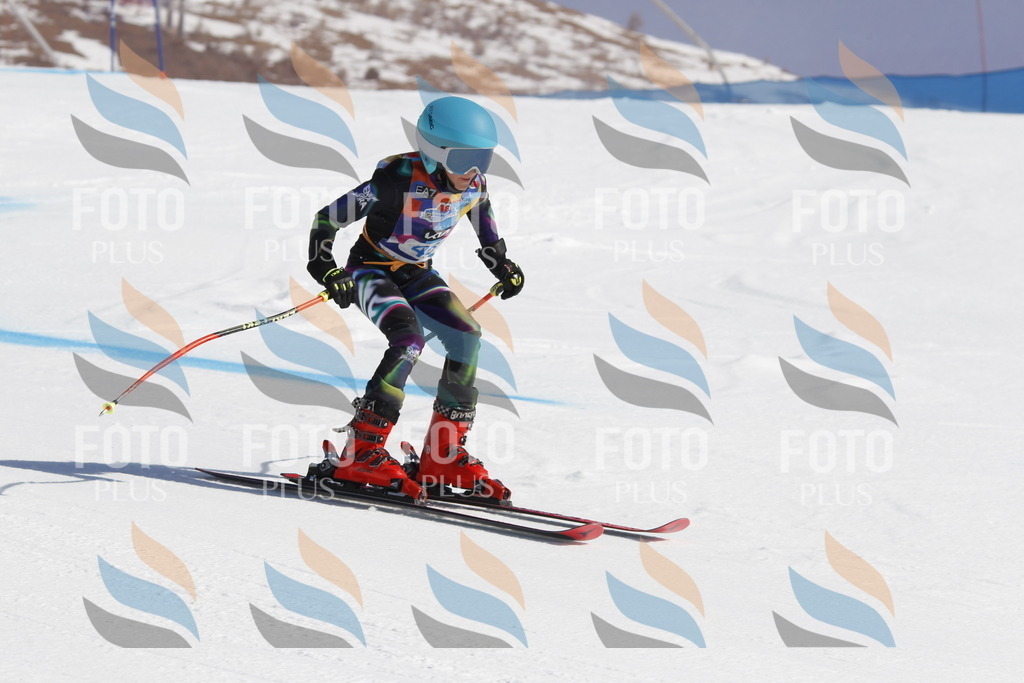 _U3G9334 | holidayphoto