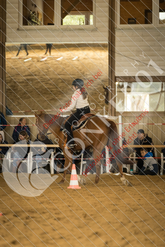 CON_2916 | Sport-, Event- und Tierfotos in Profiqualität. Einfach auswählen, bestellen und herunterladen. Dein Moment – perfekt festgehalten.