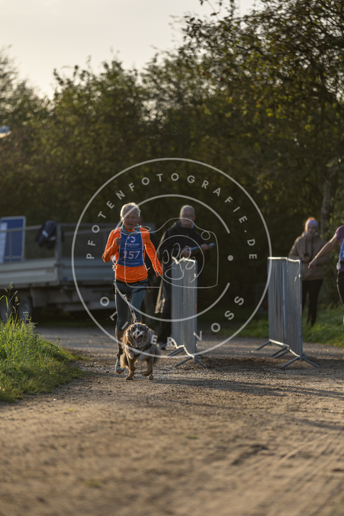 Pfotenfotografie.de_DV3A2581 | Hundefotografie, Tierfotograf, Pfotenfotografie, Fotoshooting Hund, Hunde Portrait, Hundesport, Hundeportraits, Heideshooting, Hunde, Sportfotograf, Hundefotograf, Turnierhundsport, THS, canicross - Realisiert mit Pictrs.com