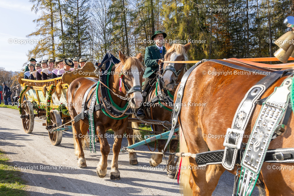 LBT24-1371 | foto-bettina-krinner - Realisiert mit Pictrs.com