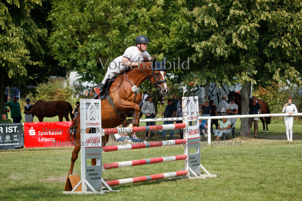 IMG_3578 | P. Berger Fotografie - Realisiert mit Pictrs.com