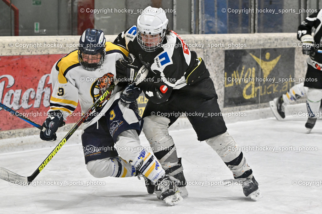 EC Tigers Paternion vs. Tarco Wölfe II | #9 Gratzer Julian EC Tigers Paternion, #4 Halbrainer Paul Tarco Wölfe II, EC Tigers Paternion vs. Tarco Wölfe II, EC Tigers Paternion vs. Tarco Wölfe II am 19.12.2024 in Spittal an der Drau (Eissportzentrum Spittal), Austria, (Photo by Bernd Stefan)