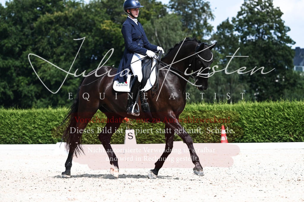 DSC_3129 | Pferde- und Turnierfotografie in Westsachsen. Pferdeportraits, Auftragszeichnungen und intuitive Kunst.
