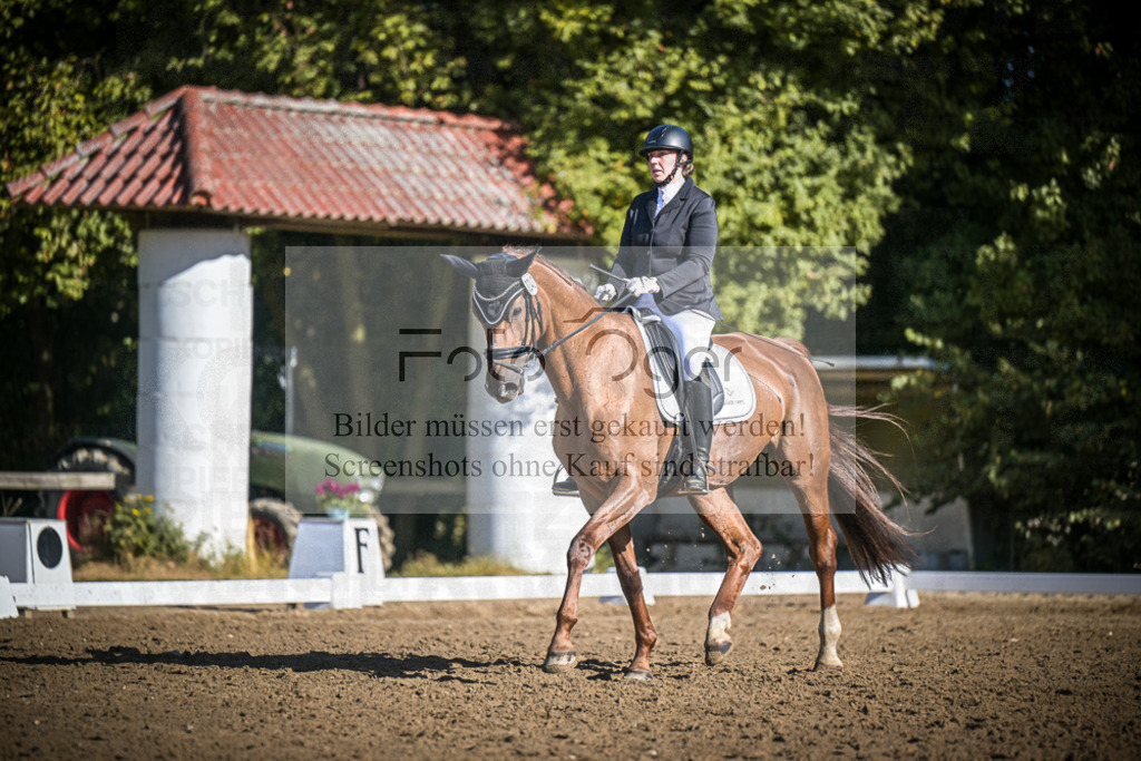 DOS_1264 | Entdecke hochwertige Reitturnierfotos von Foto Oger. Professionell, emotional und authentisch – jetzt Lieblingsmomente im Shop bestellen.Deutschlandweite Turnierfotografie. - Realisiert mit Pictrs.com