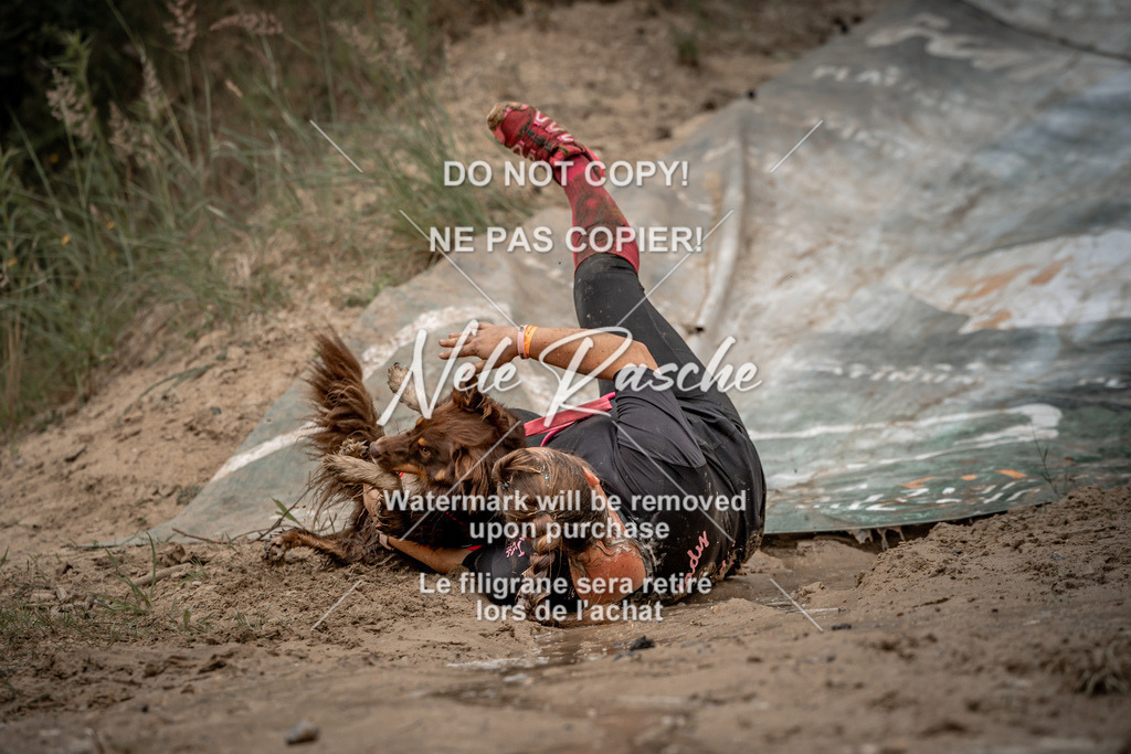 nelerasche_sa1100-1200_381 | nelerasche