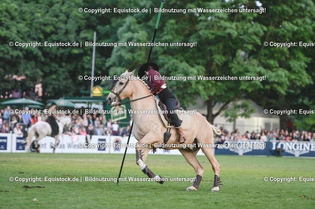 20230526_Pferdenacht_0699 | equistock