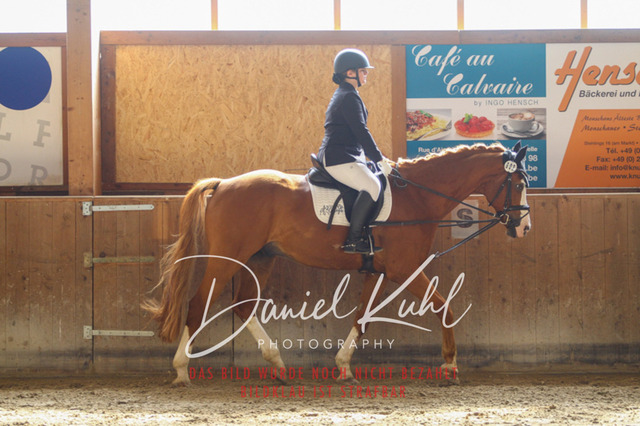 DKP45103 | Turniersportfotografie; Pferdefotografie; Dressurfotografie