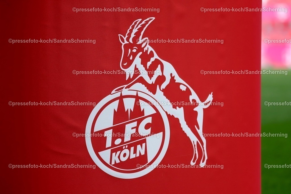 xSSC09032501030 | 09.03.2025, xsscx, Frauen Fußball, 1. FC Köln - FC Bayern München, 1. Fußball Bundesliga, 16. Spieltag, RheinEnergie-STADION, Saison 2024 2025: Logo 1. FC Köln DFB regulations prohibit any use of photographs as image sequences and or quasi-video. Nordrhein-Westfalen Deutschland