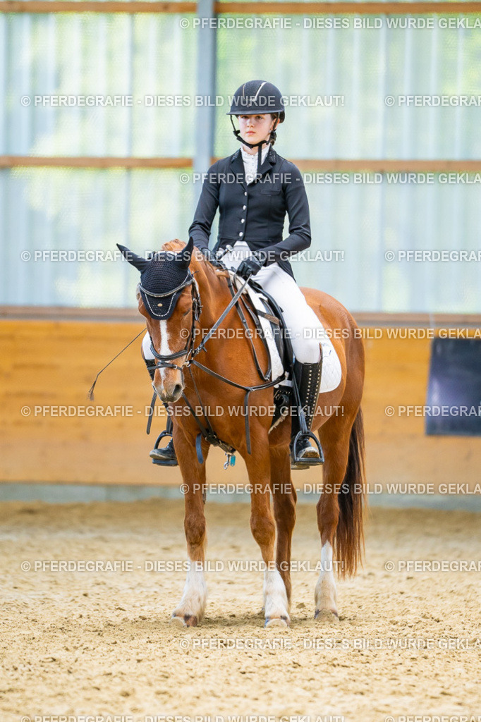 DSC08817 | Pferdegrafie