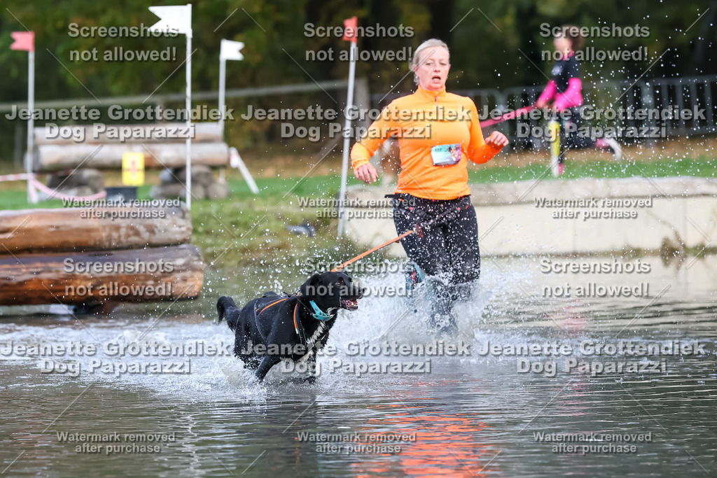 Dog Paparazzi - Strongdog 10-25-6384 | Dog Paparazzi Jeanette Grottendiek Fotografie & Videografie - Realisiert mit Pictrs.com