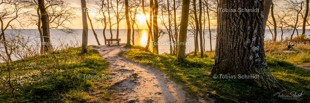 Fehmarn__DSC3228-2 | Fotoprodukte, Kalender und Wanddeko direkt vom Fotografen auf Fehmarn. Ob Wandbild auf Alu-Dibond, hinter Acrylglas oder auf Leinwand – hier können Sie Ihr Lieblingsbild kaufen. - Realisiert mit Pictrs.com